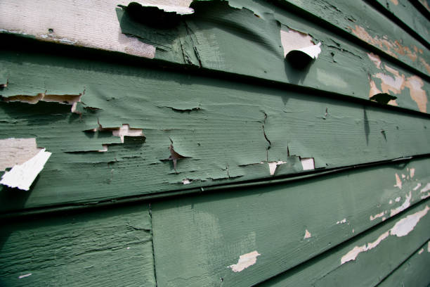 Best Recycling Services for Junk  in Villa Ridge, MO